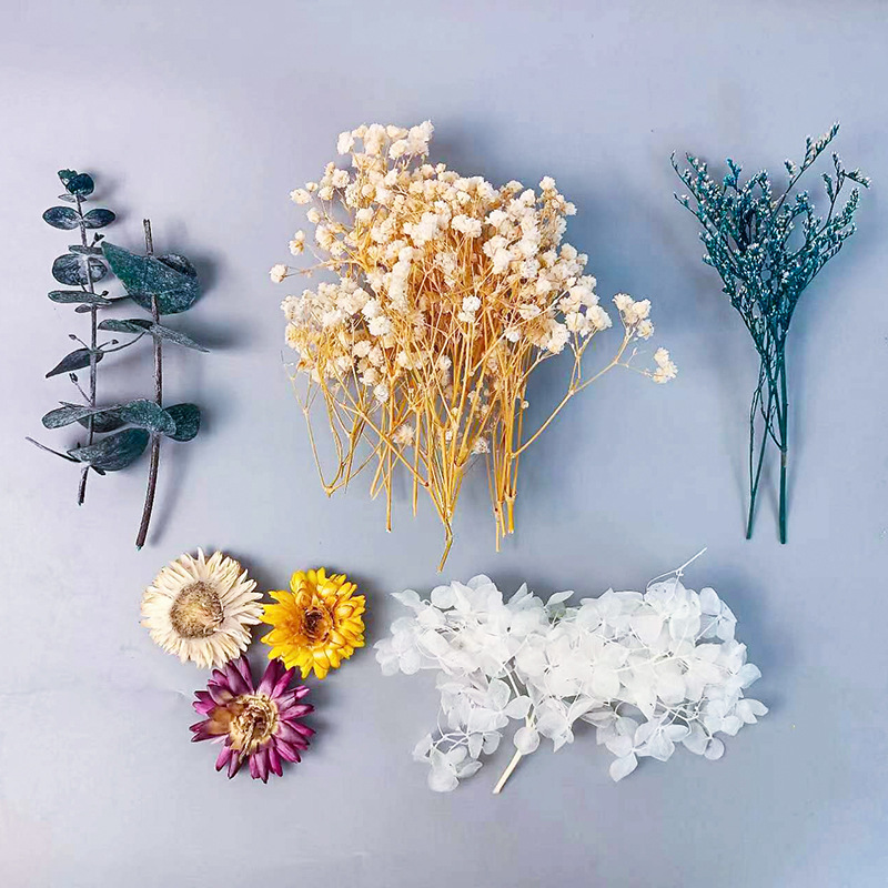 Embellish Craft - 다양한 건조 꽃 세트 1팩 DIY